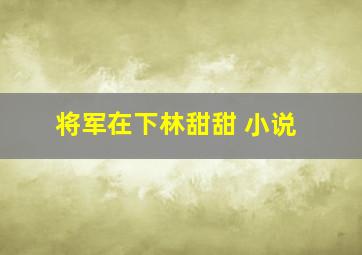 将军在下林甜甜 小说